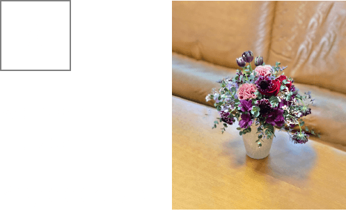 S(W:20cm,H:20cm) ¥3,000（税別）