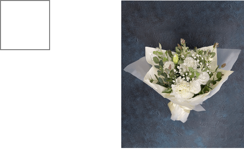 M(W:35cm,H:50cm) ¥5,000（税別）