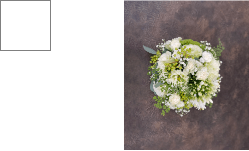 S(W:20cm,H:20cm) ¥2,000（税別）