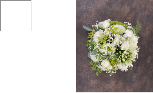 M(W:25cm,H:25cm) ¥3,000（税別）