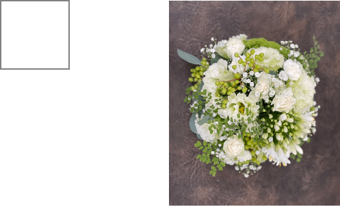 L(W:30cm,H:30cm) ¥5,000（税別）